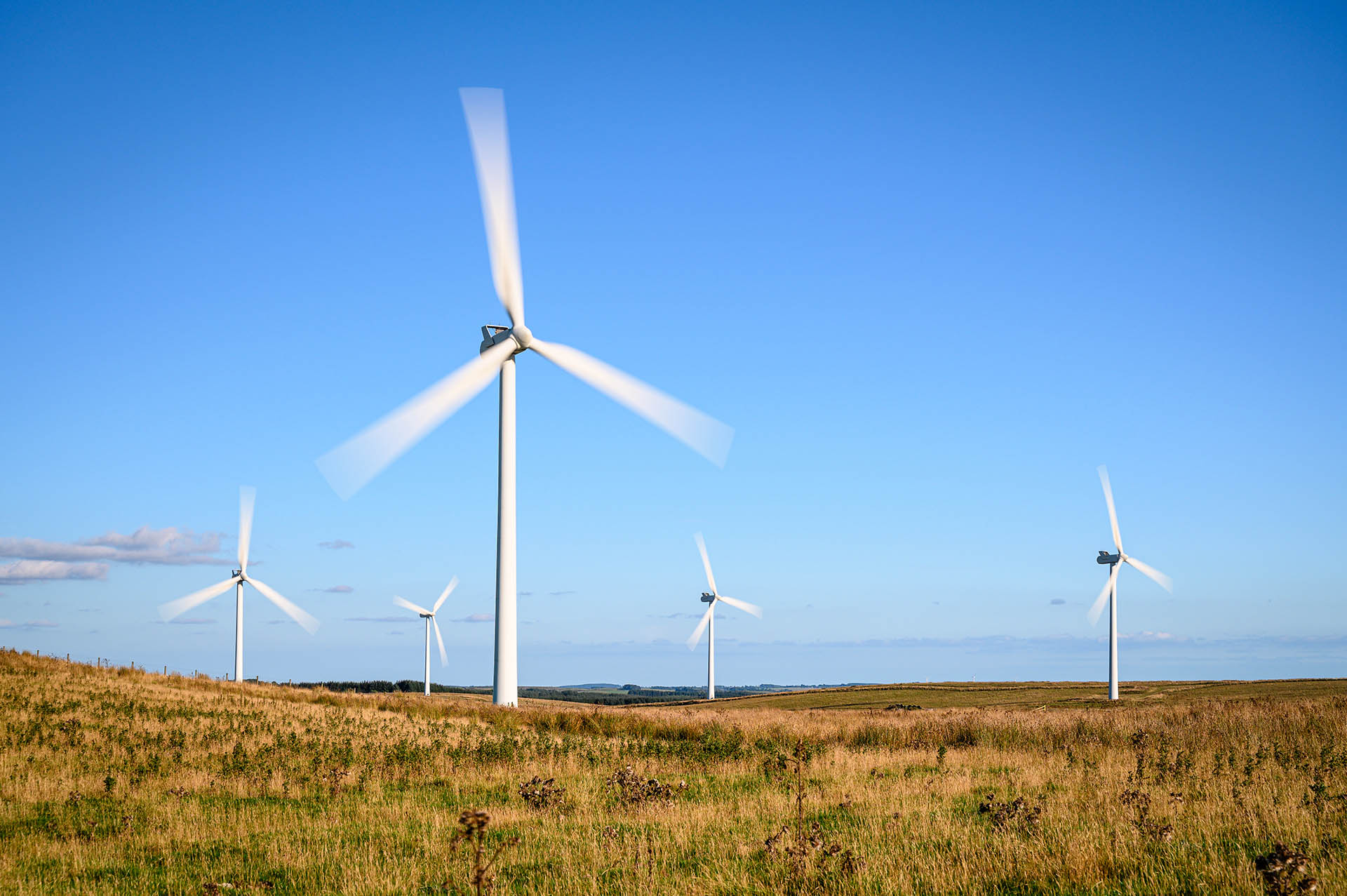 Tyr Energy Invests in 200MW Bowman Wind Project